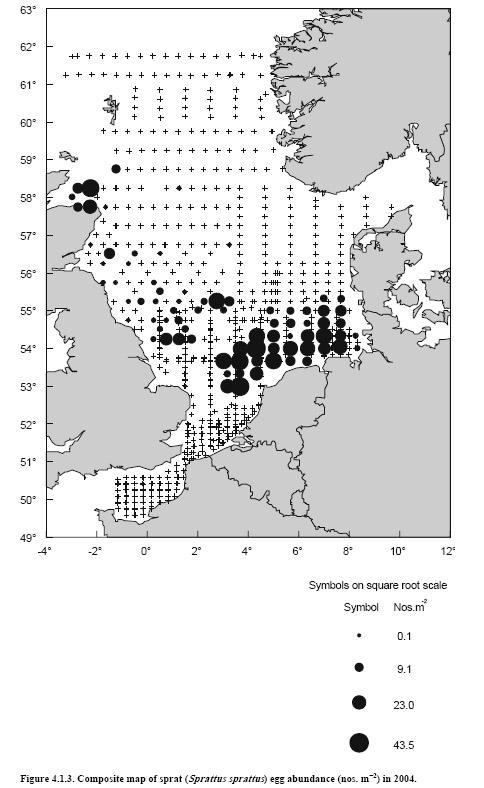 5.4 Sprot - Sprattus sprattus sprat Voortplanting Sprot in de Noordzee paait tussen maart en augustus met als hoogtepunt eind mei-juli (Re & Goncalves 1993).