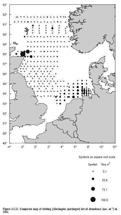 Wijting paait in de Noordzee van januari (zuidelijke deel) tot juli (noordelijke deel) (ICES 2007b). Verspreiding Paaien lijkt in de gehele Noordzee voor te komen, (Knijn et al.