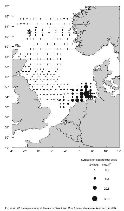 5.18 Bot - Platichthys flesus flounder Voortplanting De bot plant zich offshore voort (ICES 2007b).