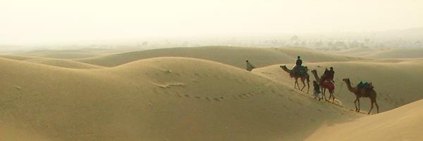 Een kameel kan op een dag wel 160 km afleggen. Ogen met gordijntjes Kamelen hebben prachtige lange wimpers. Dat is niet voor de show, maar tegen het zand.