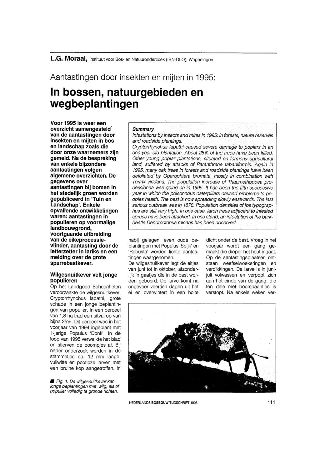 L.G. Moraal, instituut voor Bos- en Natuuronderzoek (IBN-DLO), Wageningen Aantastingen door insekten en mijten in 1995: In bossen, natuurgebieden en wegbeplantingen Voor 1995 is weer een overzicht