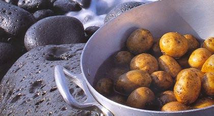 Kazakken Werkwijze 1 Was de aardappelen 2 Wrijf ze droog met een schotelvod. Kook nieuwe aardappelen eerst af. 3 Vul een kookpot met water. 4 Leg de aardappelen in het water.