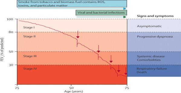 Bij frequente COPD exacerbaties gaat de longfunctie versneld achteruit Frequentie van ernstige acute exacerbaties voorspelt mortaliteit Kans op overleven 1.0 0.8 0.6 0.4 p<0.0002 p=0.