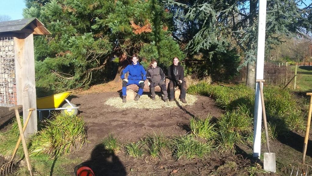 Omgevingsfactoren Groenhorst mbo Nijkerk De belangrijkste ontwikkelingen in de directe omgeving zijn: De gemeente is gestart met de dialoog samen aan zet in verschillende domeinen.