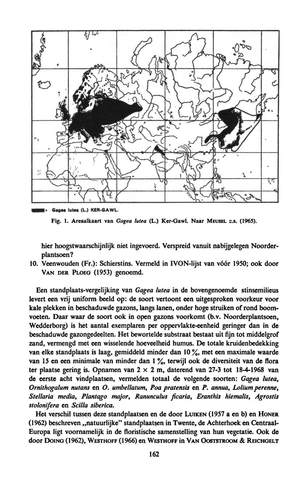 Fig. 1. Areaalkaart van Gagea lutea (L.) Ker-Gawl. Naar MEUSEL c.s. (1965). hier hoogstwaarschijnlijk niet ingevoerd. Verspreid vanuit nabijgelegen Noorderplantsoen? 10. Veenwouden (Fr.): Schierstins.