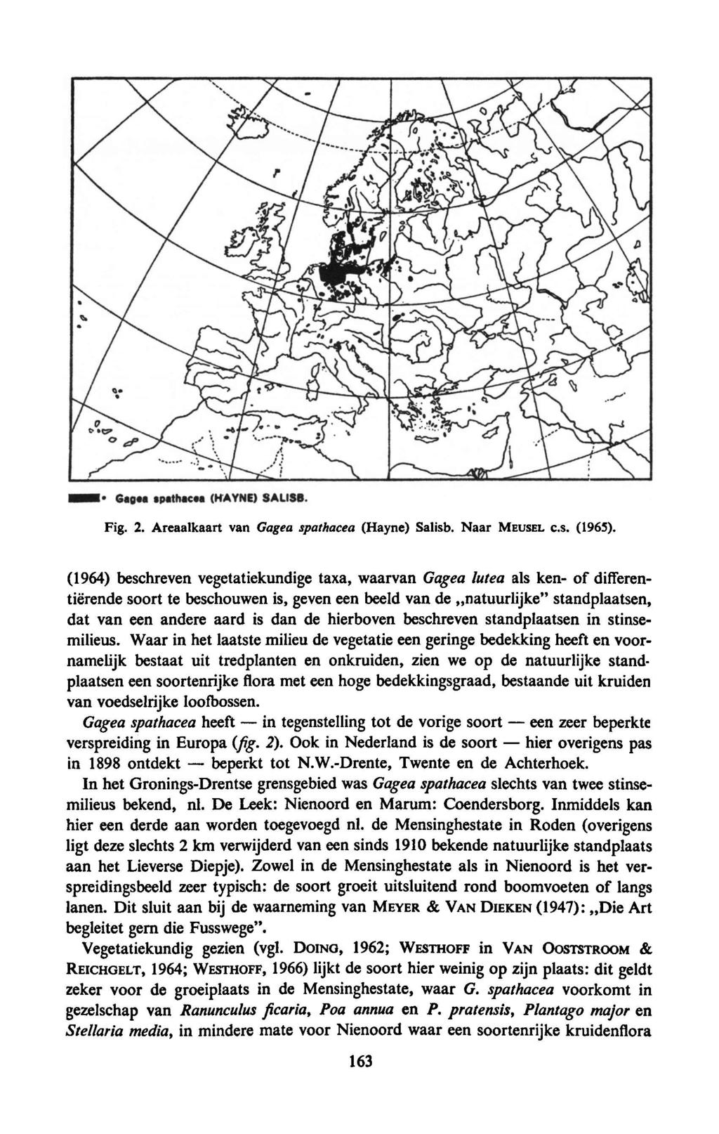 beperkt in een hier Fig. 2. Areaalkaart van Gagea spathacea (Hayne) Salisb. Naar MEUSEL c.s. (1965).