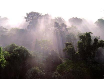 pag 24 Amazone regenwoud (Brazilie) Latijns Amerika In de afgelopen jaren hebben extreme weergebeurtenissen ernstige gevolgen in de Latijns Amerikaanse regio gehad.