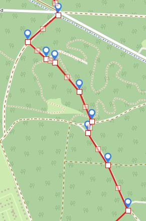 Zie trajectkaartje: Op de kruising verharde weg en fietspad oversteken en RD bospad in bij oranje bordje Hondsrug boswachterij Exloo voorbij steen 130. 1 e pad LA.
