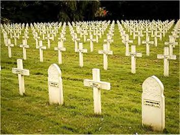 begraafplaats. Vooral de laatste twee decennia kreeg ook groen een grotere betekenis op de begraafplaatsen.