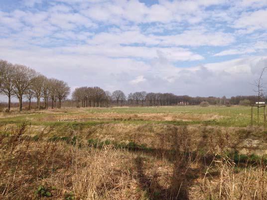 e investering in het groen valt dan ook buiten deze verplichte landschapsinvestering.