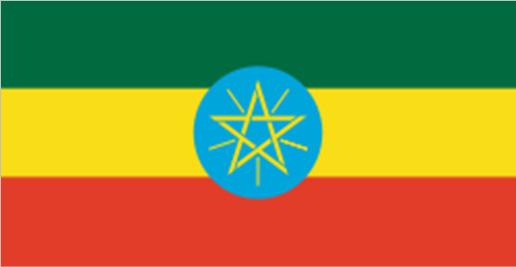 4.2. Ethiopië 4.2.1 Procedure 2015 was een jaar waarin veel gebeurde voor de werking in Ethiopië.