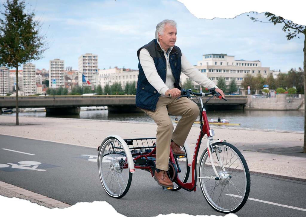 LAGOON - Volwassenen driewieler Verkrijgbaar in een klassiek bordeaux of een meer