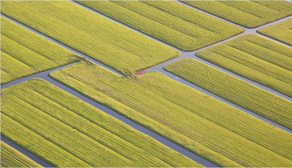 Kennisprojecten 2016 BIDON Voorkom Actie Tankslag Bodemonderzoek van de Toekomst Aanleg K&L kabels met sleufloze technieken Benutting natuurlijk kapitaal