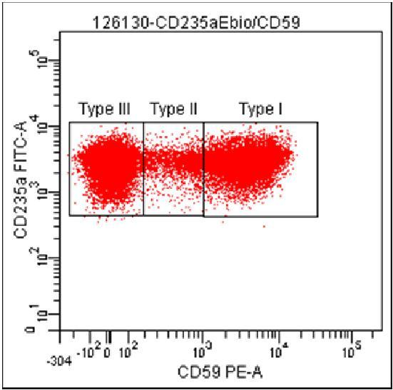 PNH HR test RBC Detectie van PNH klonen >1% Type III: 56.9% Type II: 4.8% Type III: 88.