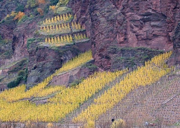 Het hart van de Erdener wijngaarden is deze wereldberoemde 36 Hectaren grote wijngaard gelegen aan de linker kant van de Moezel, tegenover het dorp Erden.