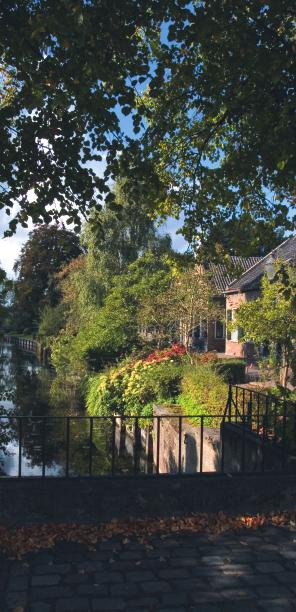 Ongerepte natuur met een historische naam In de schaduw van de Biesbosch ligt het kleine natuurgebied De Worp.