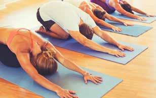 Yoga Lanklaar, combinatie van Hatha yoga, Okido yoga en meditatie Dinsdagavond: 20u tot 21u Zaal De Zavel Vrietselstraat 33 3650 Lanklaar Reeks A, 13 lessen: 19 en 26 september 3, 10, 17 en 24