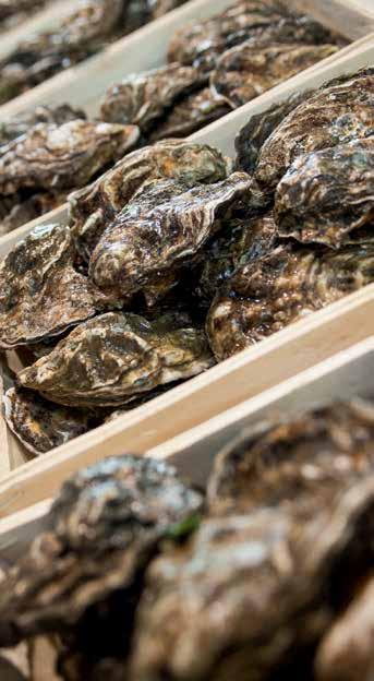 FONTENEAU OESTERS. COMBINEER HET BESTE VAN TWEE WERELDEN De oesters van Fonteneau zijn wereldwijd een begrip. Ze komen uit Frankrijk en combineren het beste van twee werelden.