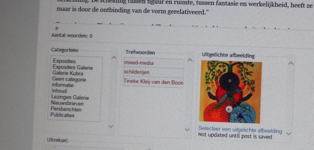 Voorbeeld: Dit doe je door bijvoorbeeld de link www.tinekekleij.nl te kopiëren. Je ziet dan vanzelf het 11 e icoontje (link invoegen/bewerken) oplichten in de rij onder Media toevoegen.