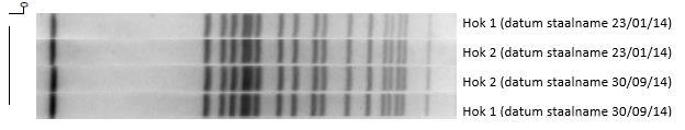 9. Salmonella Infantis Het CODA analyseerde 45 stammen van S. Infantis met pulsed field gelelektroforese (PFGE) met één restrictie-enzyme (XbaI).