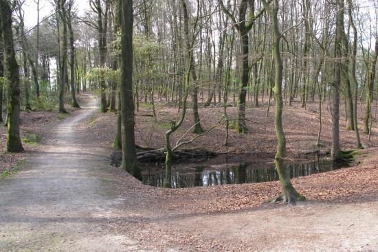 Bron Seelbeek, foto Stichting Maak je Route In Oosterbeek liggen diverse beken, onder andere de Oorsprongbeek, de Spreng op de hemelse berg en de Gielenbeek.