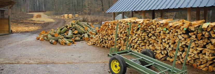 Een duurzaam productiesysteem voor biomassa is met andere woorden uitsluitend gebaseerd op de natuurlijke groei van planten. Zo wordt het ecosysteem (bijv. bos) ontzien en beschermd.