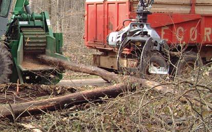 1 Primaire bijproducten Deze eerste categorie bestaat uit resthout dat wordt verkregen bij het exploiteren en oogsten van hout, namelijk houtkap uit dunningen in het bos, bepaalde