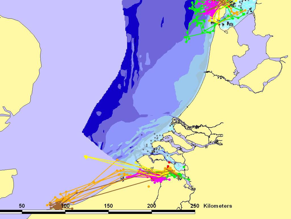 Wageningen-IMARES,