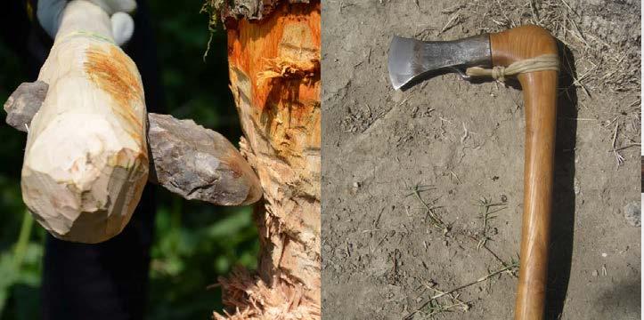 1.2 BIJLEN IN DE PREHISTORIE Zonder bijlen geen akkers. De eerste boeren in de Steentijd moesten flink hun best doen om een boom om te hakken met een stenen bijl.