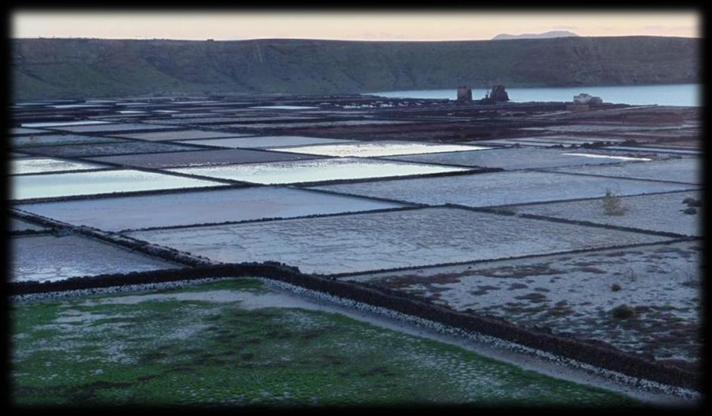 Vervolgens brengen we ook nog een kort bezoek aan de Salinas de las Janubio (zoutpannen).