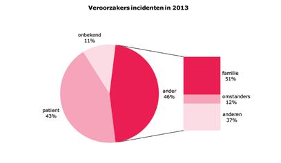 25.5 Veroorzakers Bij 308 van de 421 geregistreerde incidenten is vastgelegd wie het incident veroorzaakte: in 43% van de gevallen was dit de patiënt zelf (181 patiënten in 2013, 66% in 2012), in 46%