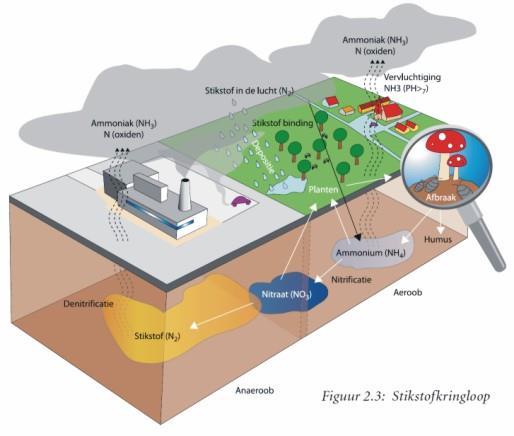 Duurzaam bodem- en watersysteem: geen enkelvoudige opgave Delta aanpak Waterkwaliteit en Zoetwater