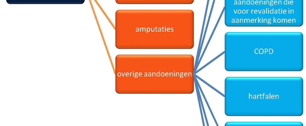 Hoewel het voornamelijk ouderen betreft, is er geen leeftijdsgrens verbonden aan geriatrische revalidatiezorg.