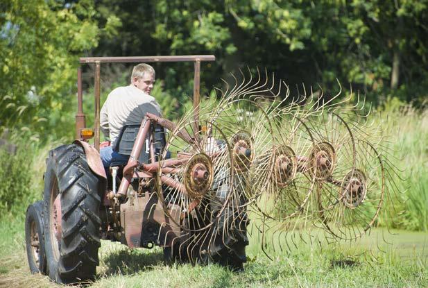 De boeren helpen 15 Kennis benutten Boeren in het gebied kunnen helpen bij het realiseren en beheren van de natuur.