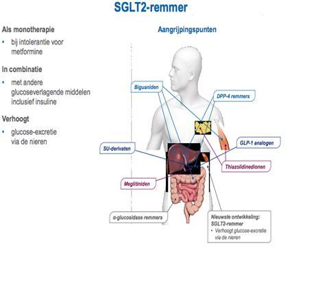 7. SGLT2 inhibitors en CVD 4 verschillende middelen in NL op de markt: -Dapagliflozin* -Canagliflozin* -Empagliflozin * cave nierfunctie Werkingsmechanisme: verhoogd glucose uitscheiding via