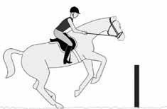 Hoe zorg ik ervoor dat ik in de verschillende fasen boven de hindernis met de bewegingen van het paard mee kan gaan?