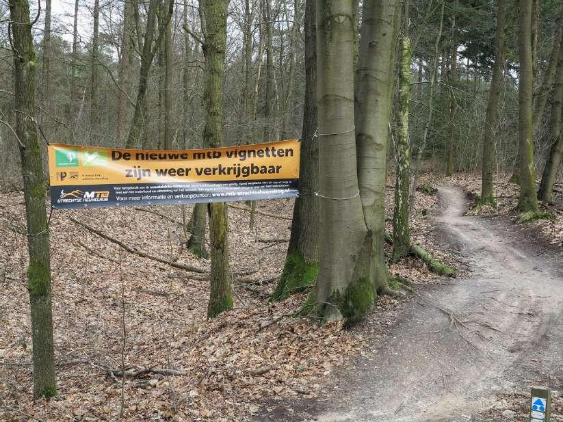 Recreatie is het afgelopen decennium zichtbaar toegenomen op de Utrechtse Heuvelrug met een toename van bosbezoekers en cumulatie van diverse activiteiten.