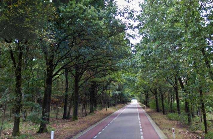 Optische wegbeeldversmalling gecombineerd met dynamische wildwaarschuwing en fietspaden, zoals hier op een weg door bos en veld op de Veluwe is waarschijnlijk de meest effectieve en duurzame methode