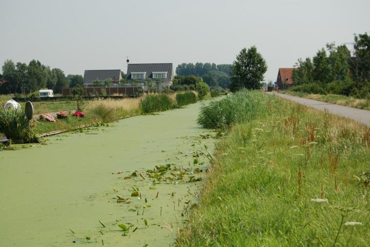 Chemische Waterkwaliteit Nutriënten 1.