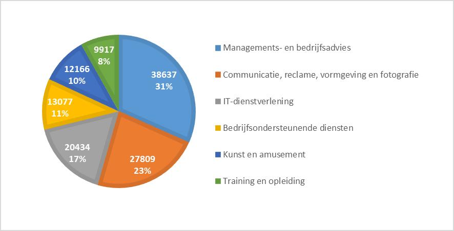 Uit bovenstaande verdeling kunnen we afleiden dat in Vlaanderen de grootste groep onder de freelancers, met name 31% of drie op de tien, actief is in het segment 'Managements- en bedrijfsadvies'.