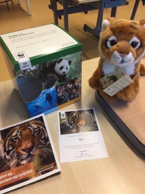 En nu hebben we 35 euro gespaard. Daarmee hebben we een tijger geadopteerd. We hebben een doos gekregen met een knuffel tijger en certificaat.