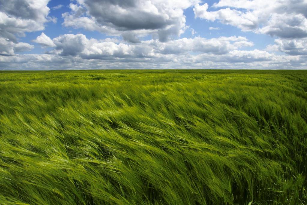 Belichting in balans houden Voor landschapsfotografen is het heel moeilijk om de juiste belichting te vinden.