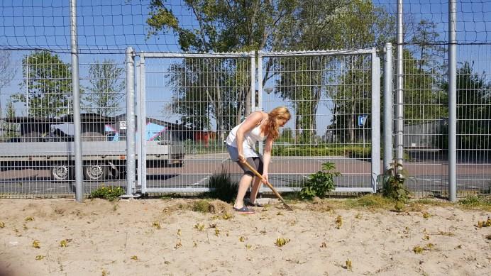 Dit viel tegelijkertijd samen met de vraag van Strijen Beach (Martijn v/d Berg & Robin v Helden)