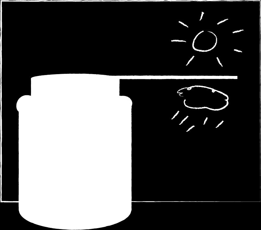 Werkblad 4 Maak een barometer Om het weer te voorspellen, kijken we vaak op een barometer. De barometer geeft de luchtdruk aan.