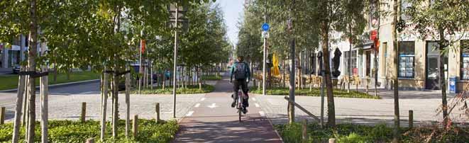 Met als focus thema water is voor de Stad Antwerpen het project Eilandje, de Londen- & Amsterdamstraat en de kade aan de Binnenvaartstraat genomineerd.