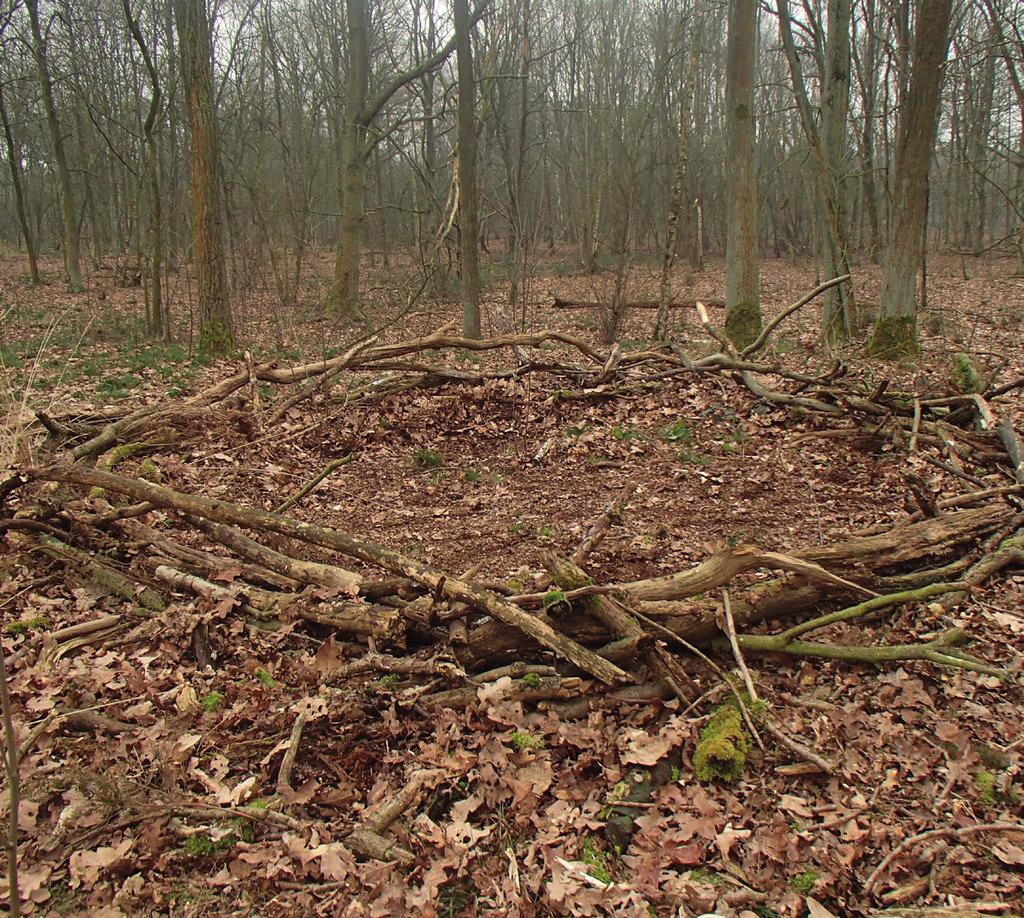 sommige vogels ook afval in hun nest gebruiken? sommige nesten heuse kunstwerkjes zijn?