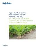 Focus: suikers naar chemie Inzetten op regionale aanwezige feedstock Passend in kracht van de regio: beschikbaarheid suikers Olie raffinage Petrochemie Producten