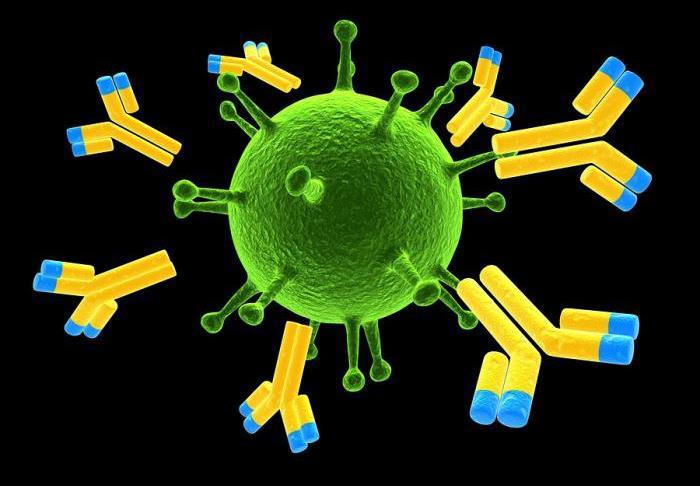 Evaluatie van de HLA- en HNA-antistofscreening in donors betrokken bij (mogelijke)