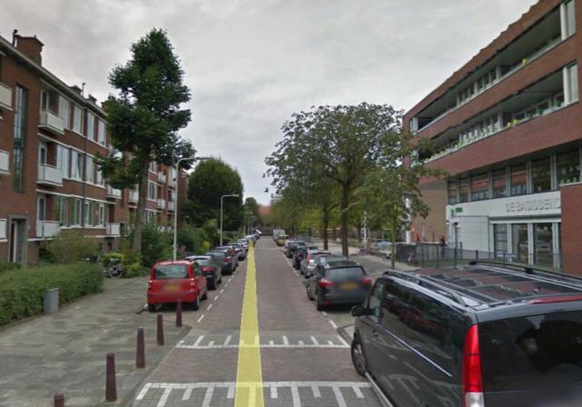 Optie 2 Gelet op de boomgrootte en obstakels bij vervoer over de straat, is het de beste optie om de beide platanen ter plekke, meer richting de rijweg van de Oppenheimstraat te verplanten.