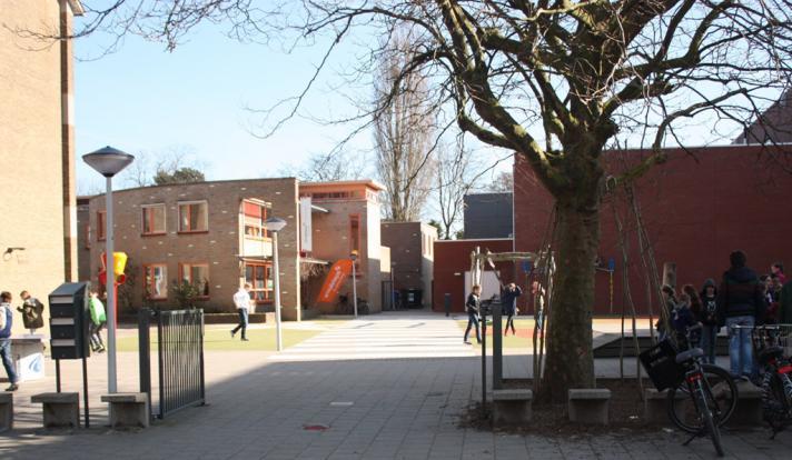 De 3 e Platanen (b.034) op het voorterrein aan de Oppenheimstraat, staat zodanig op de rand van het plangebied dat de boom, mogelijk met enige kroonsnoei, ter plekke te behouden is. Pl at aan, nr.: b.